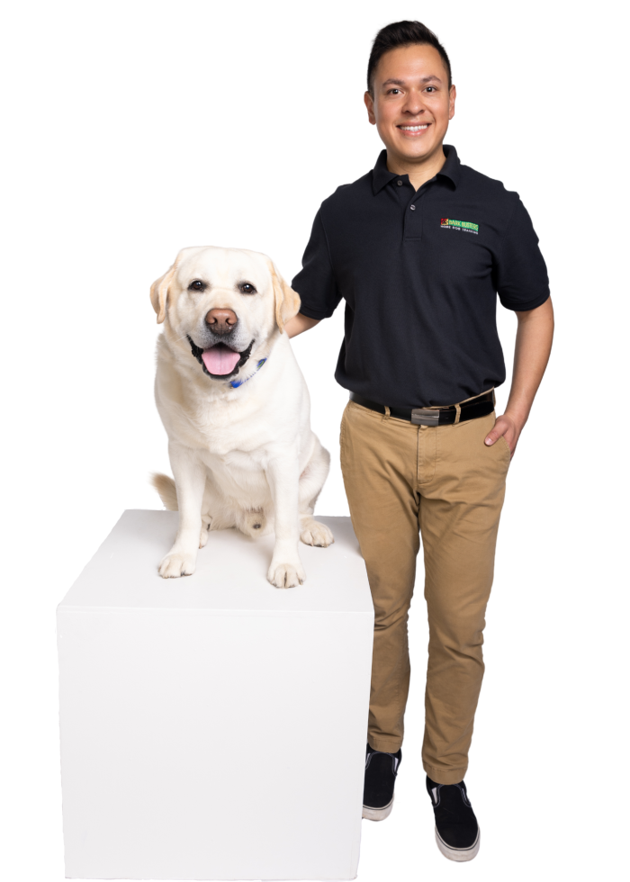  Omar Rubio - Certified Dog Behavioral Therapist & Trainer